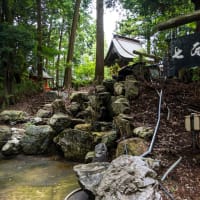 ぷちツー：紫陽花の日本寺へ（その1：境内巡り）