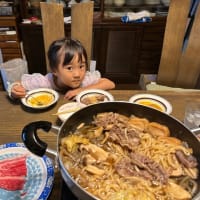 愛車の6カ月点検・孫澪奈の子守り