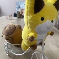 今年もありがとうございました