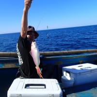 汐巻で、魚～イカのリレー釣り(2025/6/29)
