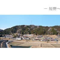 2月のスナップ撮影画像から！