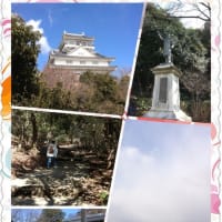 金華山