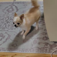 医大の皮膚科に行ってきました