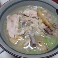 質素に少量-今日も元気----イタリヤ産チーズピザ、雲吞（ワンタン）、鶏手羽焼き、冷やし中華、麻婆豆腐、梅粥、参鶏湯（サムゲタン）