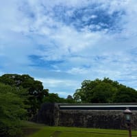 梅雨は何処に行った！？