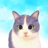 ふわふわしたもの スローな生活 ふわふわしたもの スローな生活