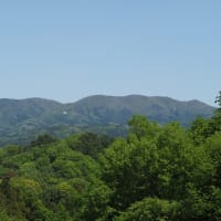 山もイベントも楽しむ福沢羽山山開き（2024.5.3）#2 羽山神社広場より日吉神社登山口に下山して羽山の森美術館に