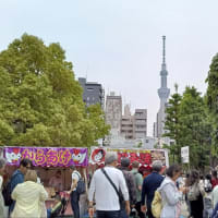 浅草三社祭
