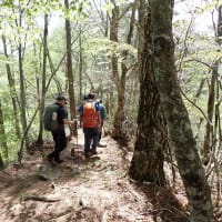 山梨百名山の釈迦ヶ岳（笛吹市芦川、1,641m）登山（１）【すずらん群生地駐車場～山頂】