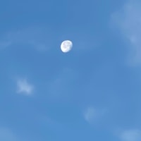 毒子にまた絶縁宣言された　（追記あり）