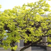 ひとやすみ