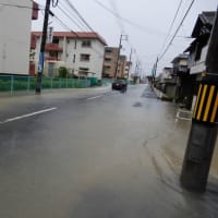 岡山市北区津島本町　大雨による座主川増水・山崩れ　2018.7.7.　「8」