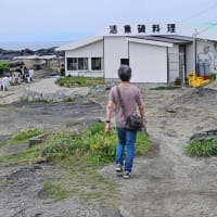 三浦海岸　城ヶ島　相模亭
