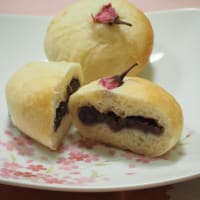 春ですねぇ