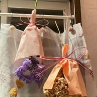 ５月～６月を彩った花たち　&　６月の紫陽花の　おまじない＾＾
