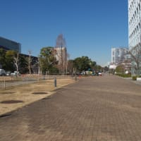 １月のお台場：ウエストプロムナード散策道とテレコムセンター駅周辺　ＰＡＲＴ２