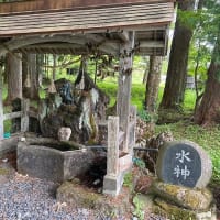 今日は気温は低めです