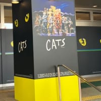 仙台　Cats観賞
