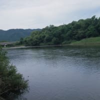 6月末の解禁日前に23日と25日に北越三面川の河川状態川見ですよー❕何とか期待したいねー❕❓