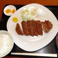 紫陽花がたくさん咲いていました