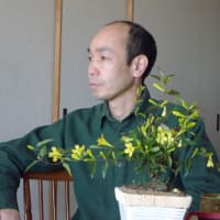 押し寄せる白波を眺めながら