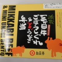 223 ◆浜松三ケ日牛ごぼうしぐれ＆プチうなぎ弁当◆