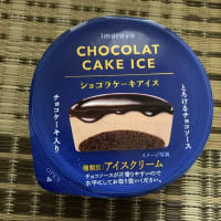 井村屋　ショコラケーキアイス