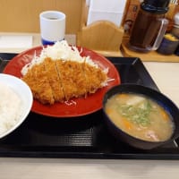 専修大学・元柔道部員を営利目的で乾燥大麻など35万円相当所持容疑で逮捕　職務質問の警察官の胸ぐらつかみ現行犯逮捕され所持発覚