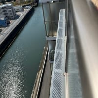 ベランダ　ハト対策