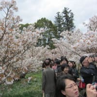 京都、神戸