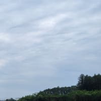 朝空