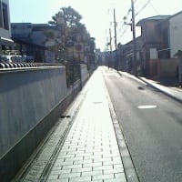 コスモタイガー漂走記～旧紀州街道編②～中編