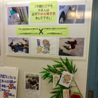 鎌倉駅地下道ギャラリー展示　2019年7月2日~8日