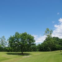 梅雨入りの翌日、青空の下のあづま総合運動公園にて（2025.6.15）#2 せせらぎ・桜の広場、しゃくなげの丘