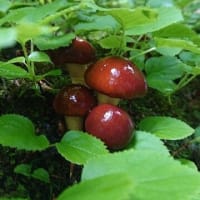山形釣行 その1　　　　　　　　　　　　　　　　　　　