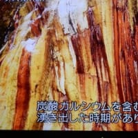 グレートネイチャー「彩りの島　台湾」より