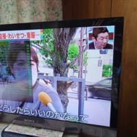 ポルシェ718ケイマンかな？？