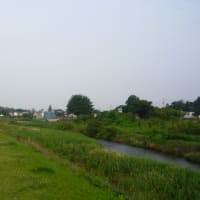 地元伊勢崎市華蔵寺公園と粕川の様子
