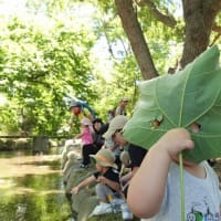 ちびっこ遊び隊！通信　2025年7月9日(水)鴨々川で「水あそび」