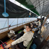 河口湖ワカサギ釣り自己ベスト更新(^^)/