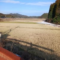 久し振りの晴れ間