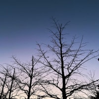 暖かい12月、空亡（天中殺）探求で～す