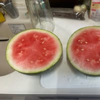 スイカ🍉