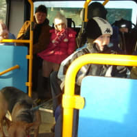 バスに犬