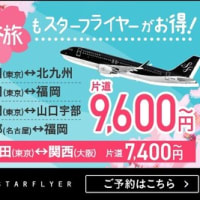 【日本株】空輸スターフライヤー株購入を検討【株主優待】（２／１７）