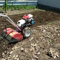 菜園の施肥と耕耘