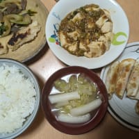 サーティワンのよくばりフェス＆マーボー豆腐の晩ご飯
