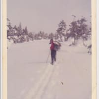 （5）反面教師　女性を敵ににしてはいけない。