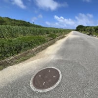 これかな　日本最南端のマンホール