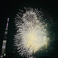 昨晩の「隅田川花火」は１００万人という大変な人出だった